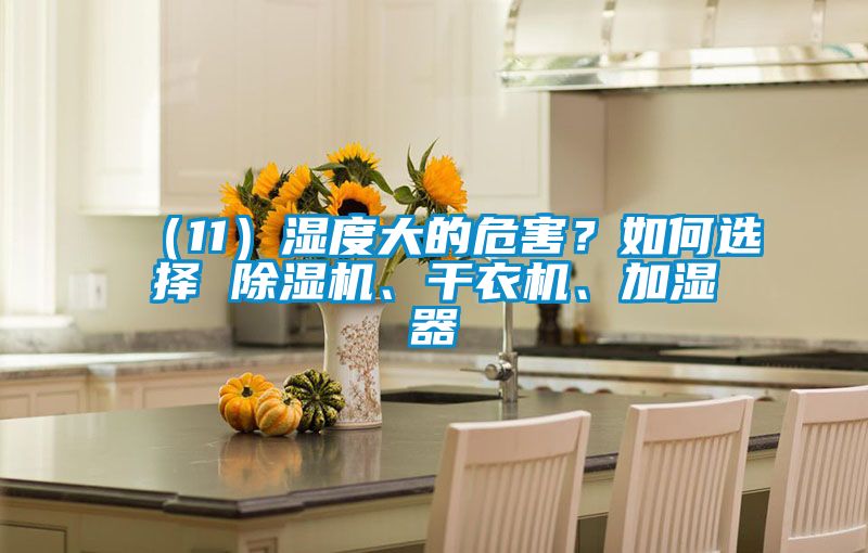 （11）濕度大的危害？如何選擇 除濕機(jī)、干衣機(jī)、加濕器