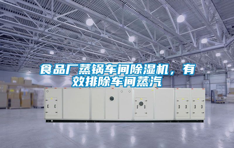 食品廠蒸鍋車間除濕機，有效排除車間蒸汽