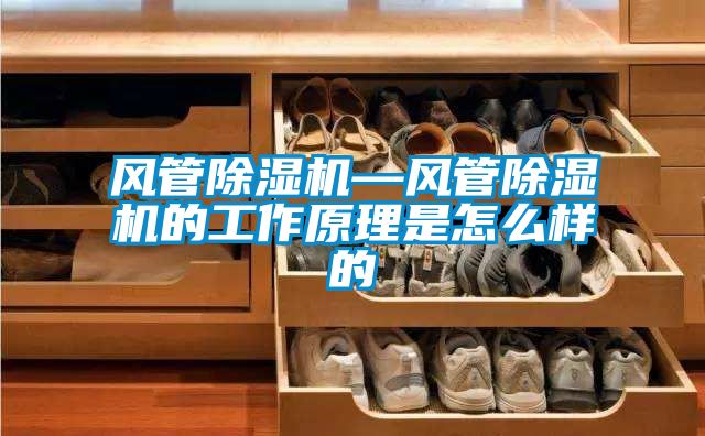 風(fēng)管除濕機—風(fēng)管除濕機的工作原理是怎么樣的
