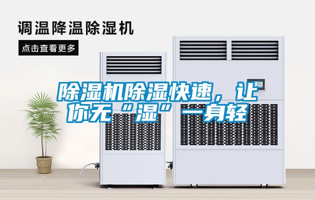 除濕機除濕快速，讓你無“濕”一身輕