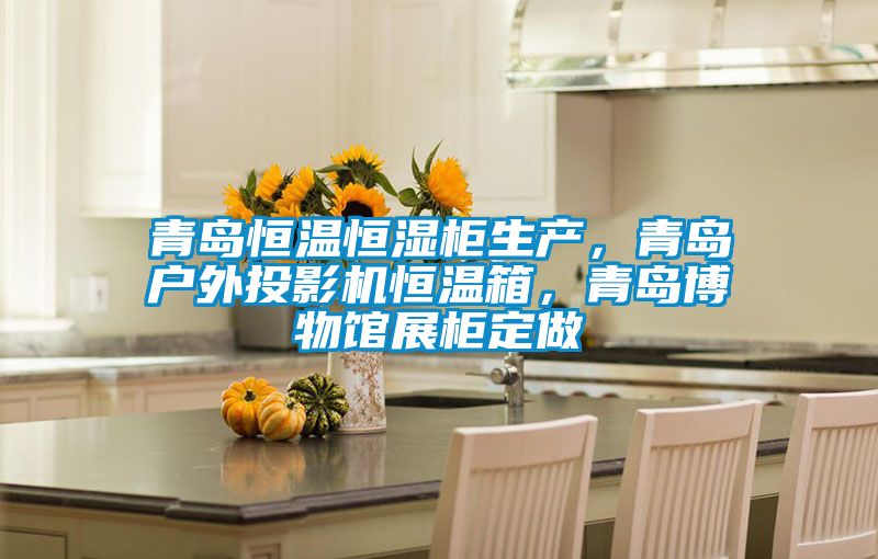 青島恒溫恒濕柜生產(chǎn)，青島戶(hù)外投影機(jī)恒溫箱，青島博物館展柜定做