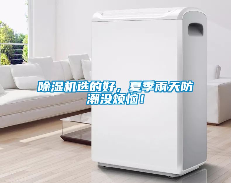 除濕機選的好，夏季雨天防潮沒煩惱！