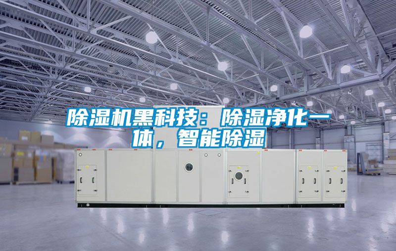 除濕機(jī)黑科技：除濕凈化一體，智能除濕