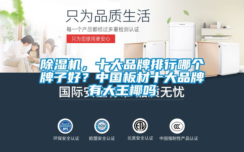 除濕機，十大品牌排行哪個牌子好？中國板材十大品牌有大王椰嗎