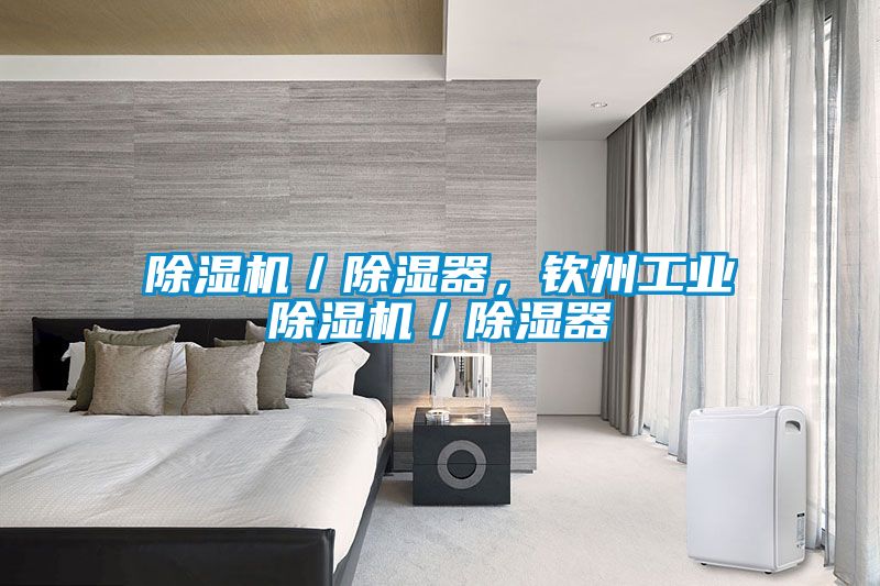 除濕機(jī)／除濕器，欽州工業(yè)除濕機(jī)／除濕器