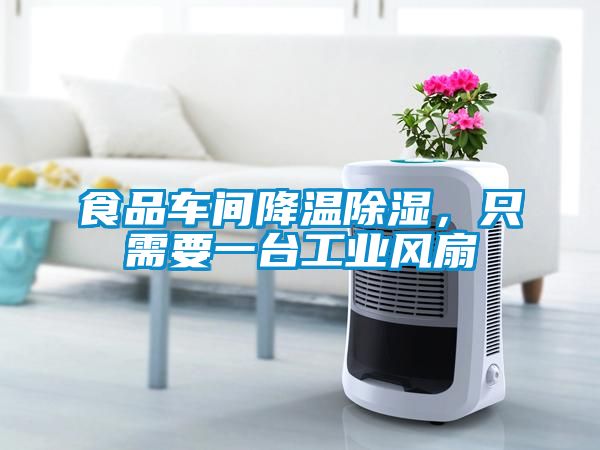 食品車間降溫除濕，只需要一臺工業(yè)風(fēng)扇