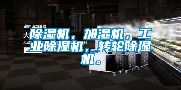 除濕機，加濕機，工業(yè)除濕機，轉(zhuǎn)輪除濕機。