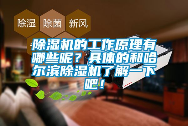 除濕機(jī)的工作原理有哪些呢？具體的和哈爾濱除濕機(jī)了解一下吧！