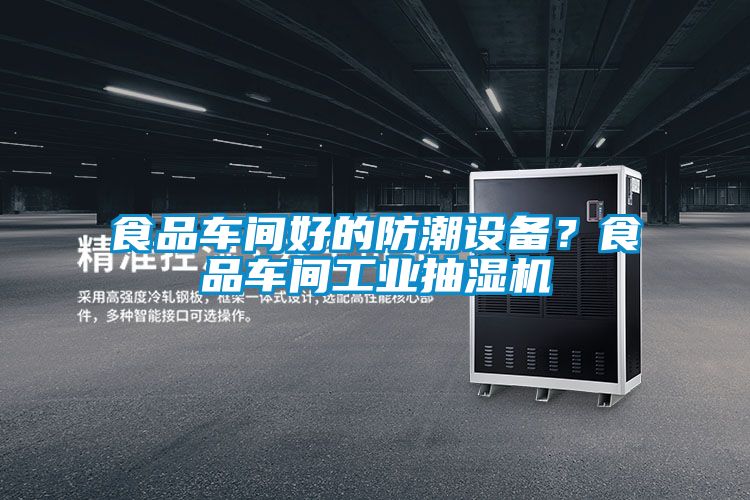 食品車間好的防潮設(shè)備？食品車間工業(yè)抽濕機