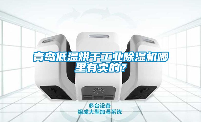 青島低溫烘干工業(yè)除濕機(jī)哪里有賣(mài)的？