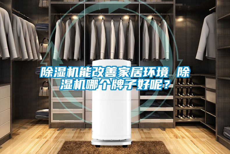 除濕機能改善家居環(huán)境 除濕機哪個牌子好呢？