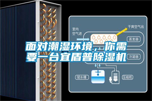 面對潮濕環(huán)境，你需要一臺宜盾普除濕機