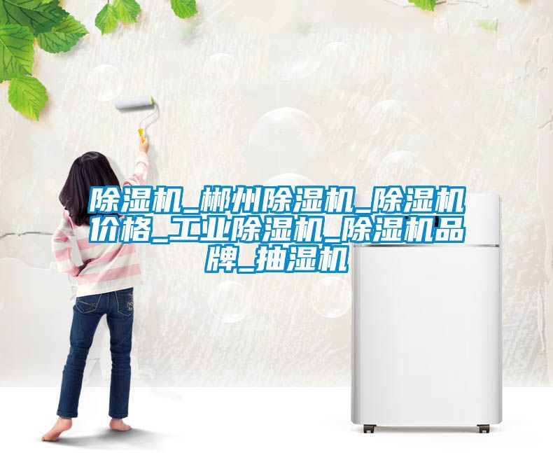 除濕機(jī)_郴州除濕機(jī)_除濕機(jī)價格_工業(yè)除濕機(jī)_除濕機(jī)品牌_抽濕機(jī)