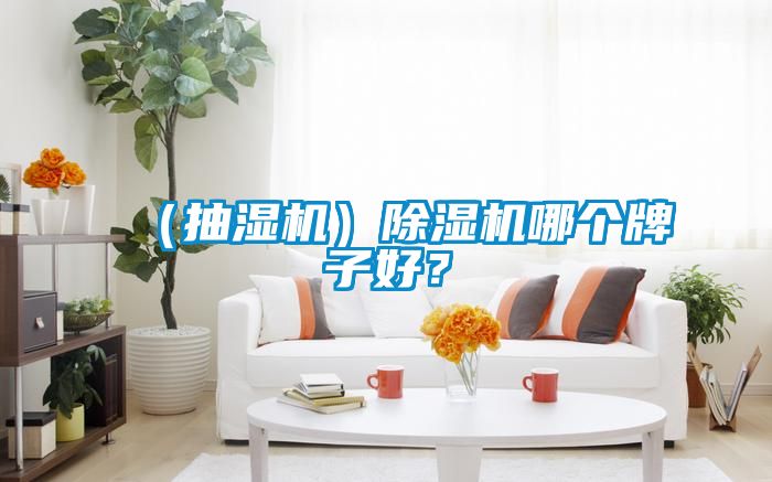 （抽濕機）除濕機哪個牌子好？