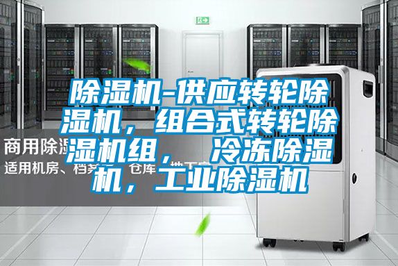 除濕機-供應轉輪除濕機，組合式轉輪除濕機組， 冷凍除濕機，工業(yè)除濕機