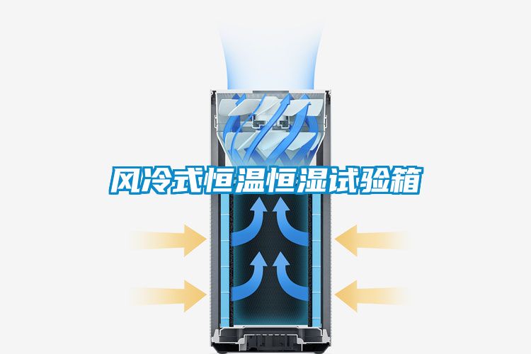 風(fēng)冷式恒溫恒濕試驗箱