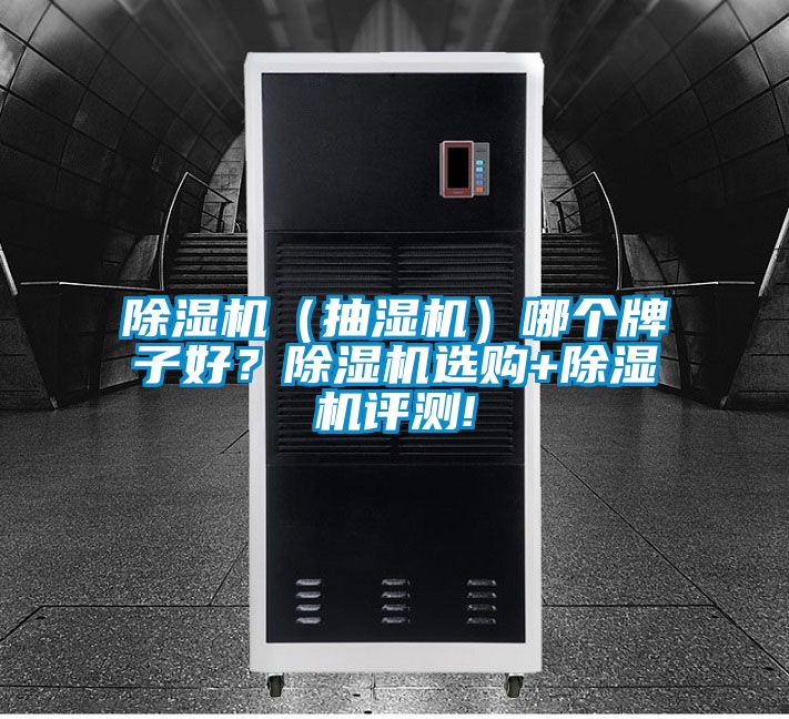 除濕機(jī)（抽濕機(jī)）哪個牌子好？除濕機(jī)選購+除濕機(jī)評測!