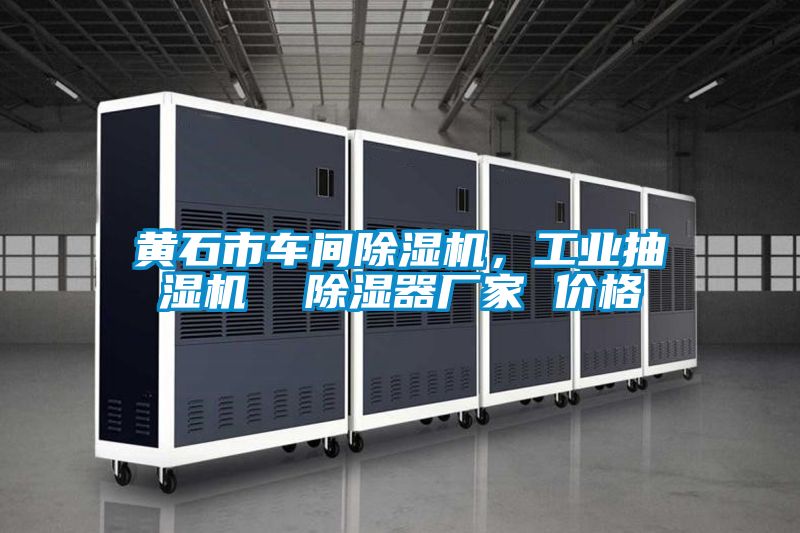 黃石市車(chē)間除濕機(jī)，工業(yè)抽濕機(jī)  除濕器廠(chǎng)家 價(jià)格