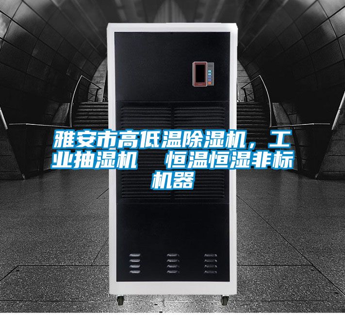 雅安市高低溫除濕機，工業(yè)抽濕機  恒溫恒濕非標(biāo)機器