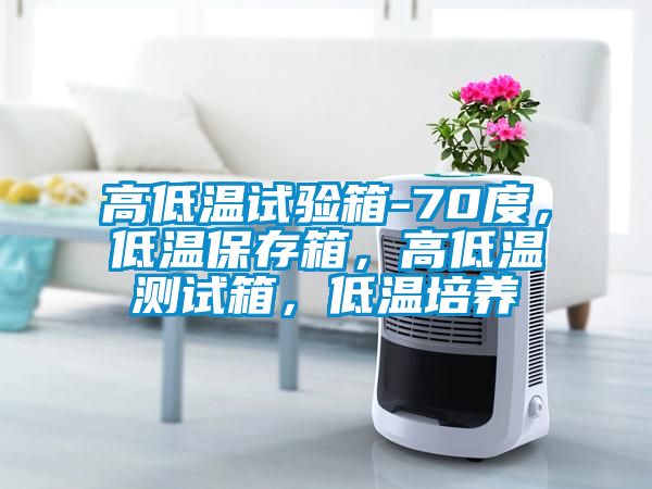 高低溫試驗(yàn)箱-70度，低溫保存箱，高低溫測(cè)試箱，低溫培養(yǎng)