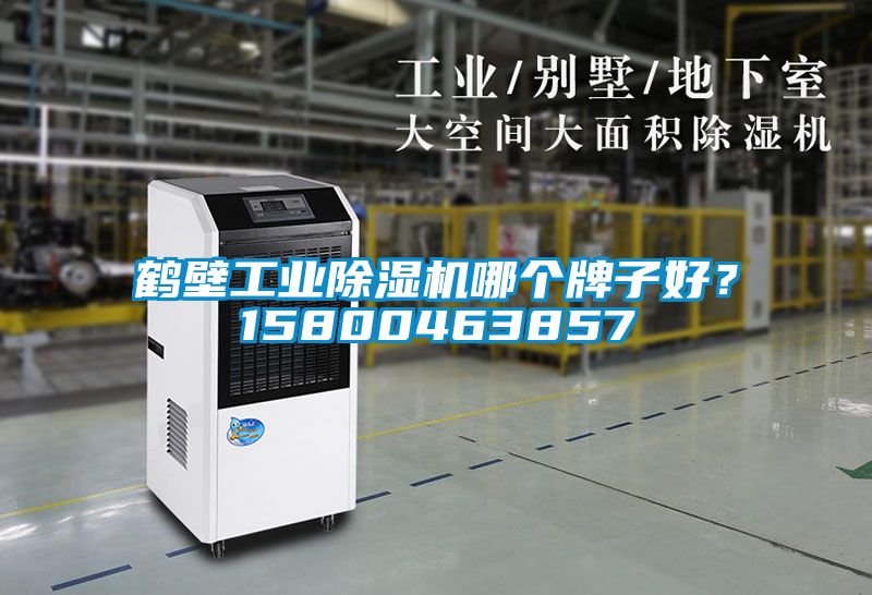 鶴壁工業(yè)除濕機哪個牌子好？15800463857
