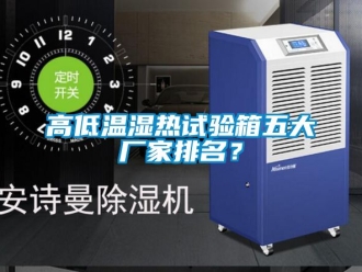 常見問題高低溫濕熱試驗(yàn)箱五大廠家排名？