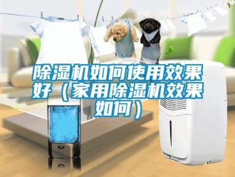 常見問題除濕機(jī)如何使用效果好（家用除濕機(jī)效果如何）