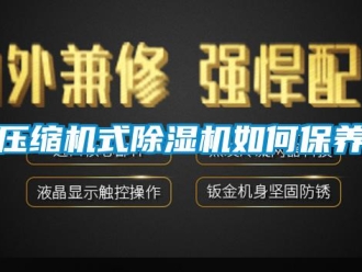常見問題壓縮機(jī)式除濕機(jī)如何保養(yǎng)