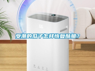 常見問題受潮的瓜子怎樣恢復(fù)酥脆？