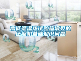 常見問題高低溫濕熱試驗(yàn)箱常見的壓縮機(jī)基礎(chǔ)知識問題