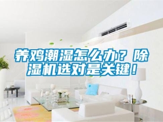 常見問題養(yǎng)雞潮濕怎么辦？除濕機(jī)選對是關(guān)鍵！