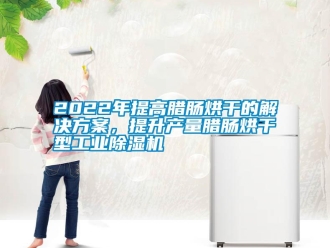 常見(jiàn)問(wèn)題2022年提高臘腸烘干的解決方案，提升產(chǎn)量臘腸烘干型工業(yè)除濕機(jī)