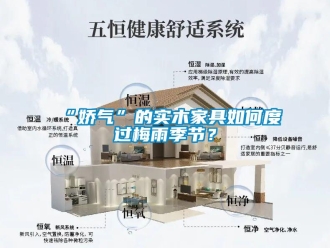 常見問題“嬌氣”的實木家具如何度過梅雨季節(jié)？