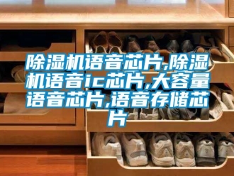 行業(yè)新聞除濕機(jī)語音芯片,除濕機(jī)語音ic芯片,大容量語音芯片,語音存儲芯片
