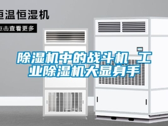 常見問題除濕機(jī)中的戰(zhàn)斗機(jī) 工業(yè)除濕機(jī)大顯身手