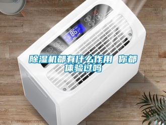 行業(yè)新聞除濕機都有什么作用 你都體驗過嗎