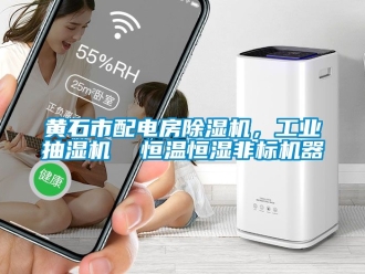 常見(jiàn)問(wèn)題黃石市配電房除濕機(jī)，工業(yè)抽濕機(jī)  恒溫恒濕非標(biāo)機(jī)器