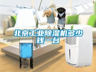 常見問題北京工業(yè)除濕機(jī)多少錢一臺(tái)