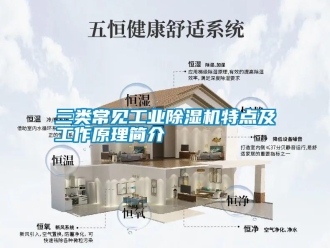 知識(shí)百科三類(lèi)常見(jiàn)工業(yè)除濕機(jī)特點(diǎn)及工作原理簡(jiǎn)介