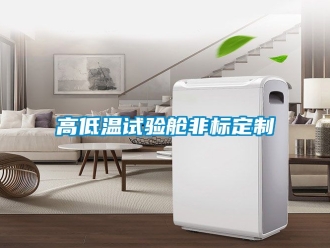 常見問題高低溫試驗(yàn)艙非標(biāo)定制