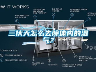 常見問題三伏天怎么去除體內(nèi)的濕氣？