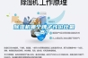 除濕機(jī)哪個牌子性價比最高？