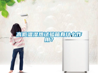 常見問題高低溫濕熱試驗(yàn)箱有什么作用？