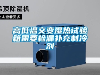 常見(jiàn)問(wèn)題高低溫交變濕熱試驗(yàn)箱需要檢漏補(bǔ)充制冷劑