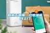 回南天跟潮，過敏濕疹找上門