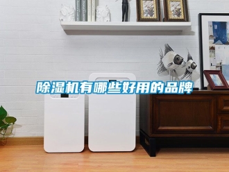 企業(yè)新聞除濕機有哪些好用的品牌
