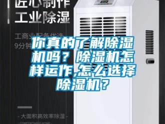 常見問題你真的了解除濕機嗎？除濕機怎樣運作,怎么選擇除濕機？