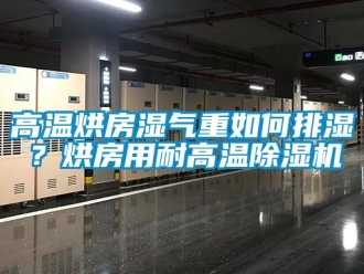 行業(yè)新聞高溫烘房濕氣重如何排濕？烘房用耐高溫除濕機(jī)