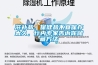 滋補品、保健品不宜保存太久，行內(nèi)專家告訴你儲藏方法