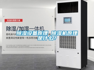 行業(yè)新聞除濕設(shè)備原理 除濕機原理是什么？